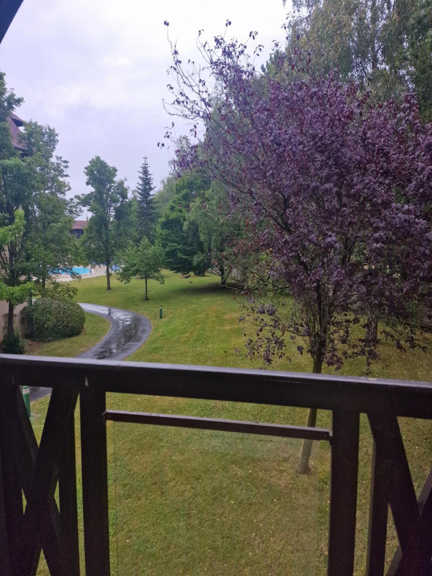 Appart 2 Chambres Piscine Chez Rox - Residence Du Golf دوفييل المظهر الخارجي الصورة